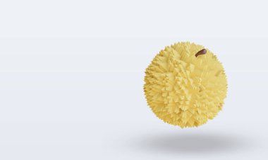 3d Fruits Durian rendering right view