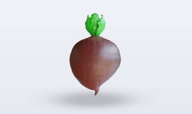3d Vegetable Black Radish rendering front view