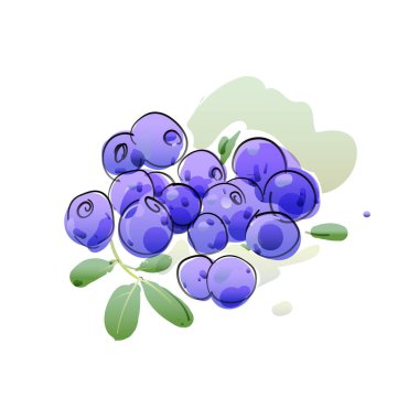 Yabanmersini, böğürtlen ve yapraklar, elde çizilmiş vektör illüstrasyonu