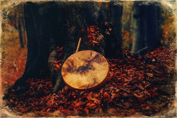 Shaman drum in forest on moss tree. — Fotografia de Stock