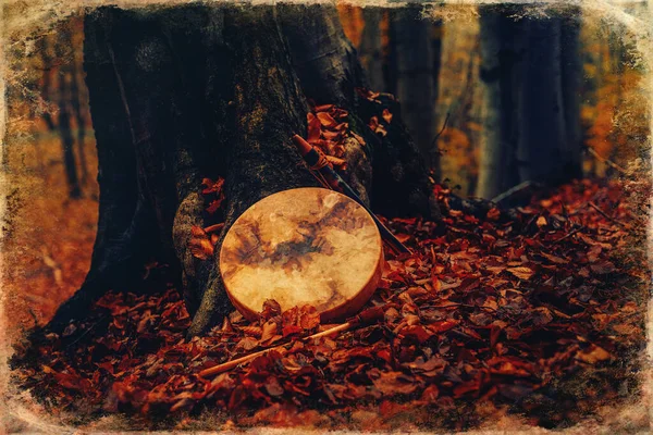Шаманський барабан і флейта в лісі на дереві мохів . — стокове фото