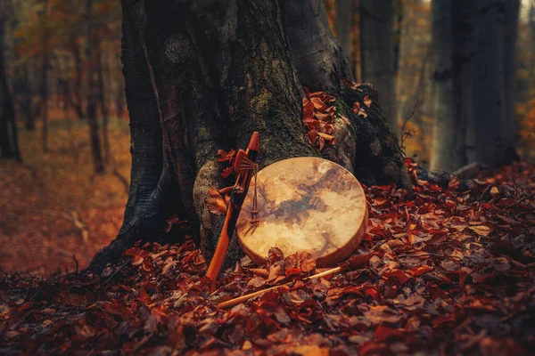 Tambor chamán y flauta en el bosque en el árbol de musgo. — Foto de Stock