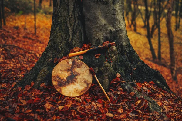 Tambor chamán y flauta en el bosque en el árbol de musgo. —  Fotos de Stock