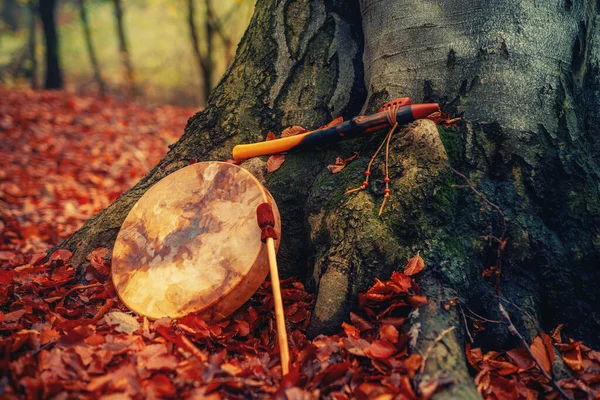 Tambor de xamã e flauta na floresta na árvore de musgo. — Fotografia de Stock