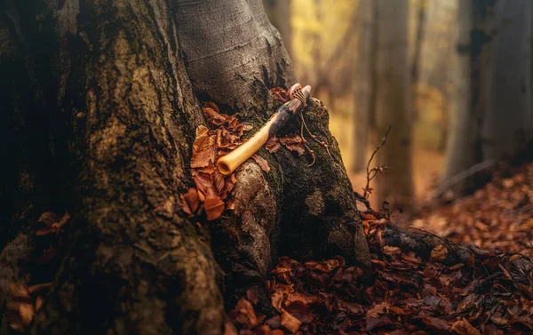 Szamański flet w lesie na drzewie mchu. — Zdjęcie stockowe