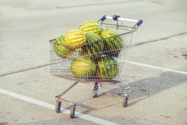 Watermeloenen in de mand van de supermarkt. — Stockfoto