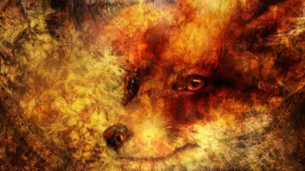 野生の赤狐の絵。観賞用の背景. — ストック動画