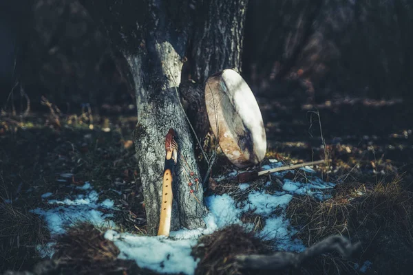 Šamanský buben a flétna v lese na stromě. Zimní krajina. — Stock fotografie