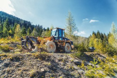 Ormanda çalışan hasatçı..