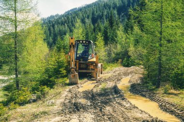 Ormanda çalışan hasatçı..