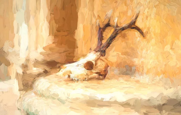 Skull of a young deer on the altar. — ストック写真