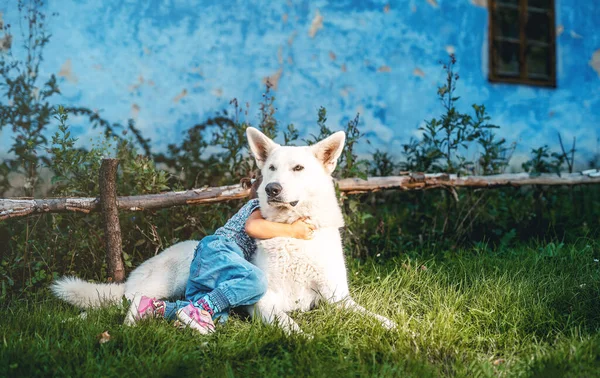 Little girl and white wolfhound in the meadow. — Foto de Stock