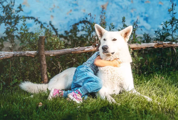 Little girl and white wolfhound in the meadow. — Stock Photo, Image