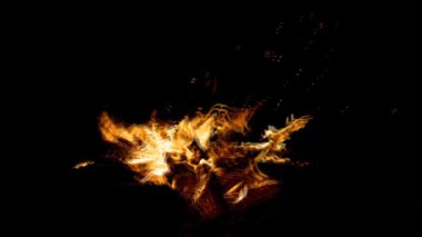 Siyah arka plan üzerine alevler ateş. Ağır çekim.