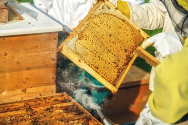 Arıcı bal dolu bal peteğiyle hile yapıyor.