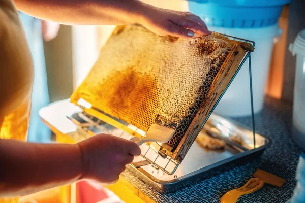 Work with a comb to print out a honeycomb