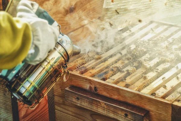 Smoke beekeeper for processing bees by smoke
