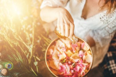 Gül çiçek ve uçucu yağ. Aromaterapi ve Spa