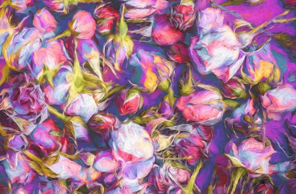 Background Beautiful Color Roses Painting Effect — Stok fotoğraf