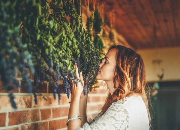Fresh Herbs Drying Hanging Wall — Stock Photo, Image