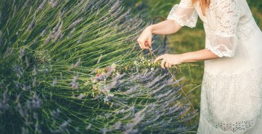 View of woman making wreath with beautiful flowers