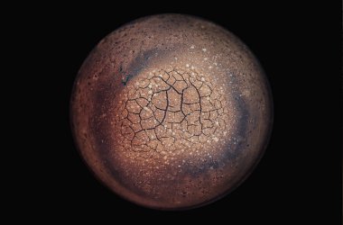 cup of cocoa after the cocoa ceremony