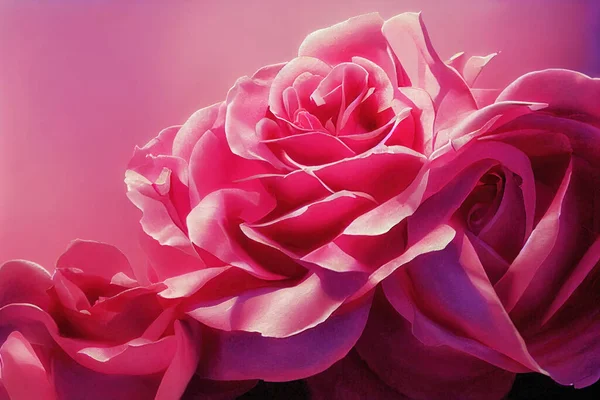 Fond Avec Belles Roses Roses — Photo