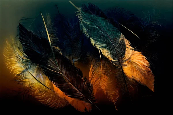 Belles Plumes Oiseaux Multicolores Illustration Numérique — Photo