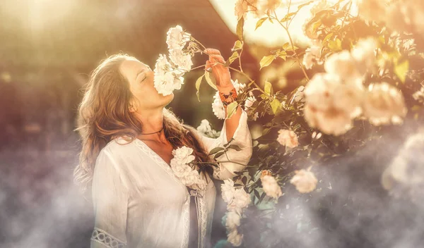 Beautiful Woman Smells Rosebush Sunset — Stock Photo, Image