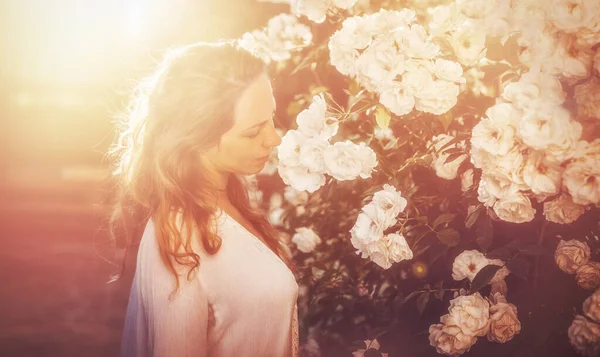 Beautiful Woman Smells Rosebush Sunset — Stock Photo, Image