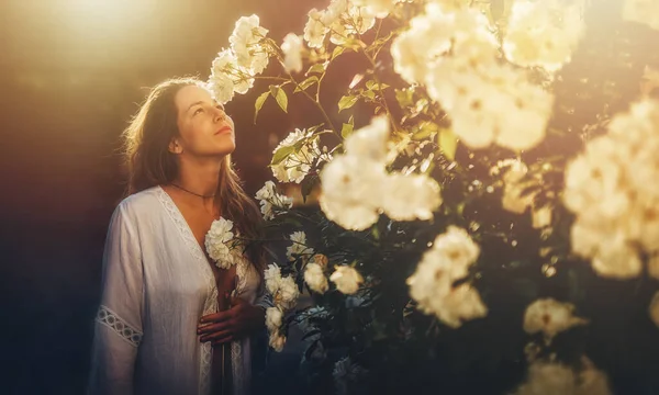Vacker Kvinna Luktar Rosenbuske Vid Solnedgången — Stockfoto