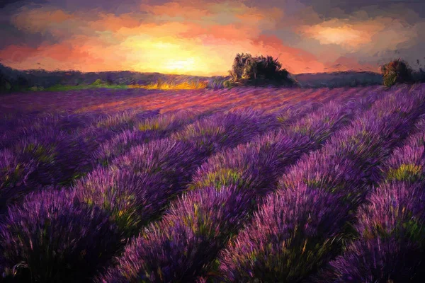 Bellissimo Campo Lavanda Viola Tramonto Effetto Pittura — Foto Stock