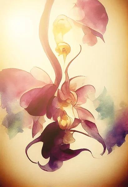 Fondo Con Hermosa Orquídea Acuarela Fondo Flores —  Fotos de Stock