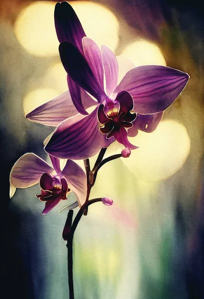 Background Beautiful Watercolor Orchid Flower Background — Stock Photo, Image