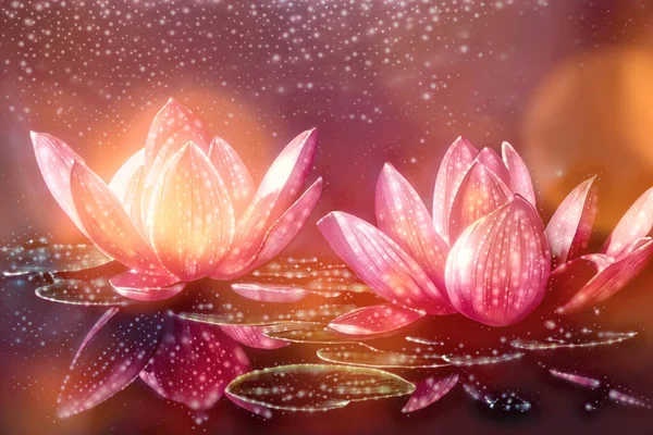 Прекрасна Квітка Лотоса Абстрактному Тлі Квітка Озері — стокове фото
