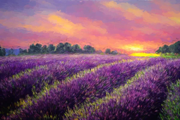 Vackert Lila Lavendelfält Vid Solnedgången Målningseffekt — Stockfoto