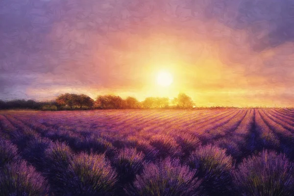 Schöne Lila Lavendelfeld Bei Sonnenuntergang Malerei Effekt — Stockfoto