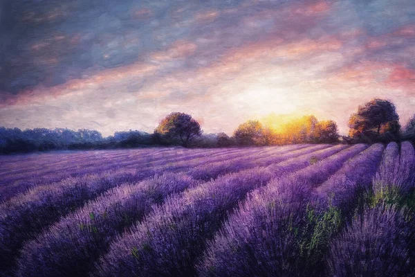 Belo Campo Lavanda Roxa Pôr Sol Efeito Pintura — Fotografia de Stock