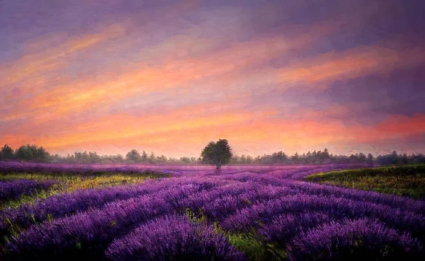 Bellissimo Campo Lavanda Viola Tramonto Effetto Pittura — Foto Stock