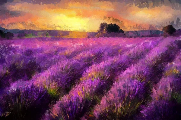 Bellissimo Campo Lavanda Viola Tramonto Effetto Pittura — Foto Stock