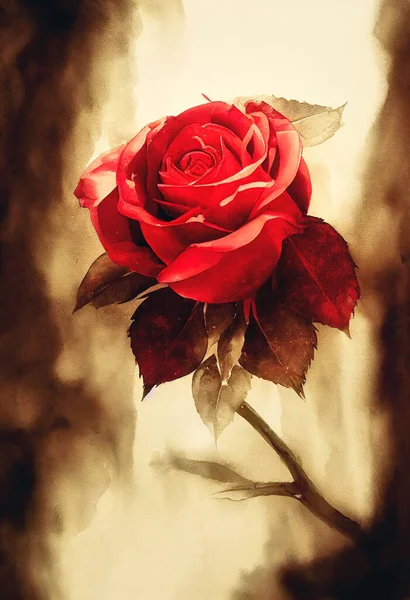 Background Beautiful Watercolor Red Rose Flower Background — Stock Photo, Image