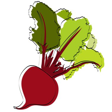 Sebze silueti. Pancar. Vektör illüstrasyonu.