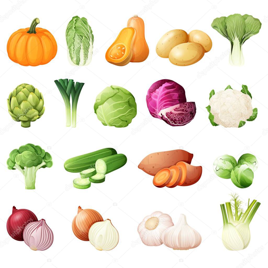 Bright vector illustration of colorful vegetables