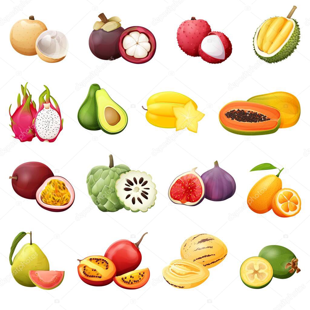 Set of colored  exotic fruit.Realistic vector illustration