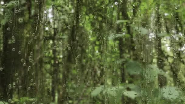 Animation, Regen im Wald. Tropfen auf Glas. Realistische Darstellung. 4k-Video — Stockvideo