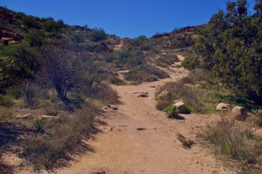 Vasquez Kayaları Ulusal Parkı Kaliforniya 'da dağlar ve eşsiz kaya oluşumları ile yer almaktadır. 