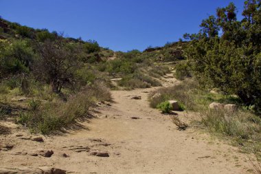 Vasquez Kayaları Ulusal Parkı Kaliforniya 'da dağlar ve eşsiz kaya oluşumları ile yer almaktadır. 