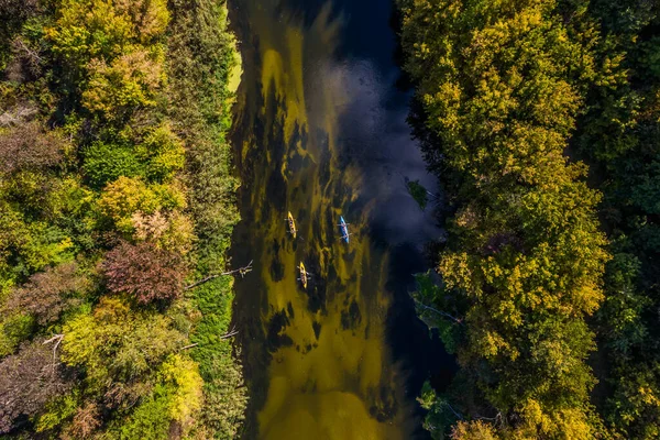 three kayaks on the river. view from above. yellow and blue kayaks float on the river through the autumn forest. River rafting. water tourism.  Aerial drone view.