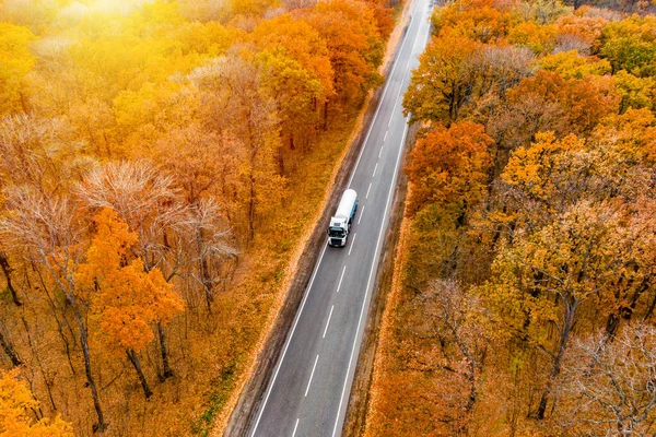 Teherszállítás Fehér Teherautó Hajtásokkal Egy Aszfaltos Úton Keresztül Őszi Erdőben — Stock Fotó