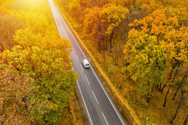 White trailer car driving on asphalt road through the autumn forest . Road seen from the air. Aerial view landscape. dron photography.